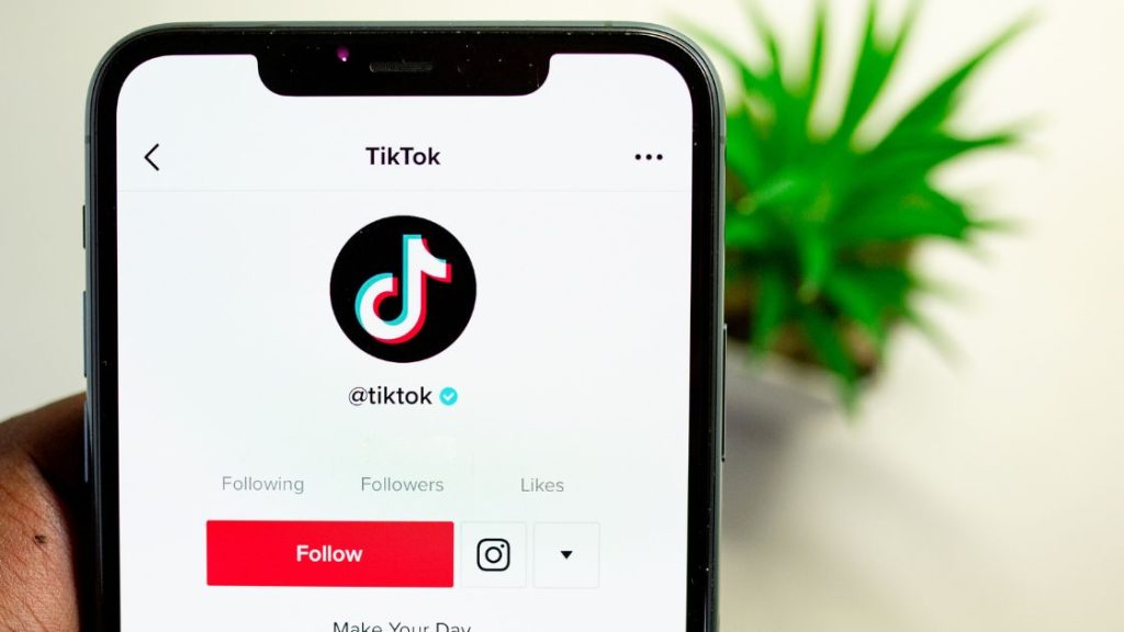 How to View Private TikTok Accounts in 2022